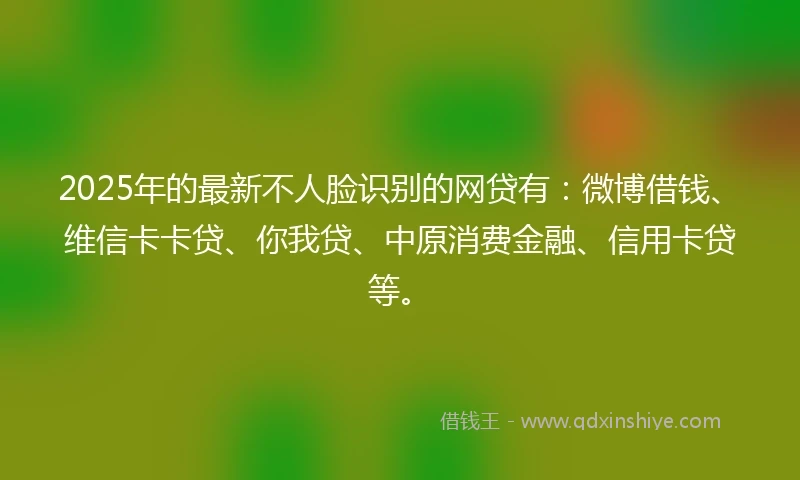 2025年的最新不人脸识别的网贷有：微博借钱、维信卡卡贷、你我贷、中原消费金融、信用卡贷等。