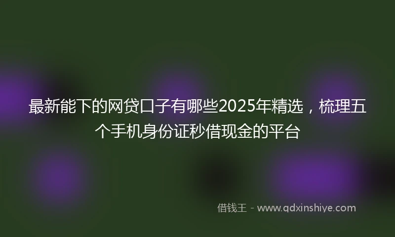 最新能下的网贷口子有哪些2025年精选，梳理五个手机身份证秒借现金的平台