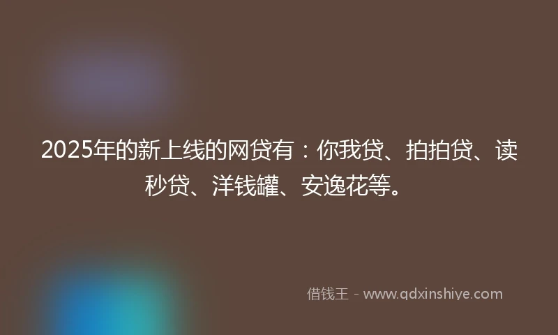 2025年的新上线的网贷有：你我贷、拍拍贷、读秒贷、洋钱罐、安逸花等。