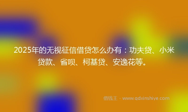 2025年的无视征信借贷怎么办有：功夫贷、小米贷款、省呗、柯基贷、安逸花等。