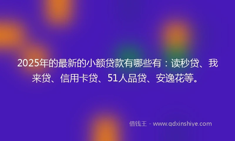 2025年的最新的小额贷款有哪些有：读秒贷、我来贷、信用卡贷、51人品贷、安逸花等。