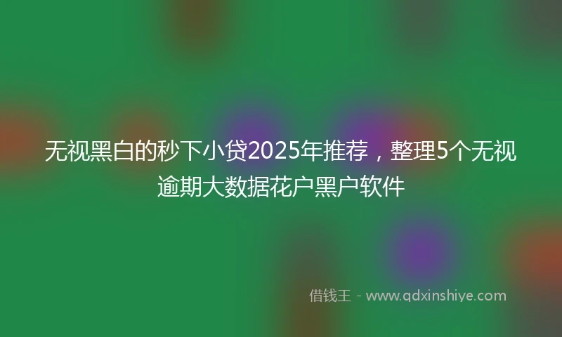 无视黑白的秒下小贷2025年推荐，整理5个无视逾期大数据花户黑户软件