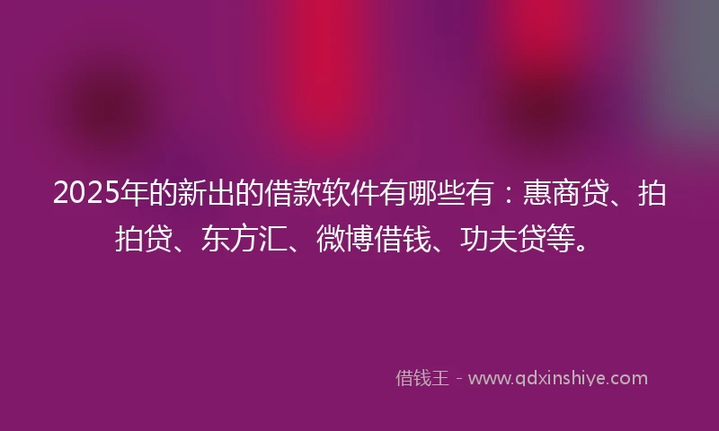 2025年的新出的借款软件有哪些有：惠商贷、拍拍贷、东方汇、微博借钱、功夫贷等。