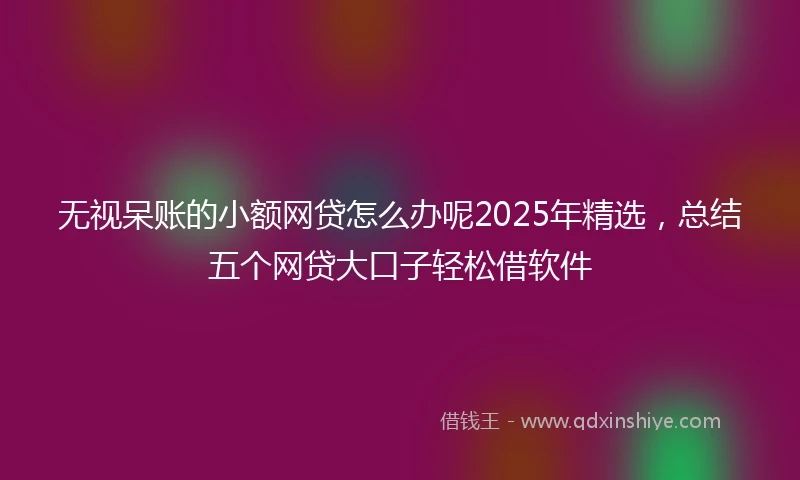 无视呆账的小额网贷怎么办呢2025年精选，总结五个网贷大口子轻松借软件