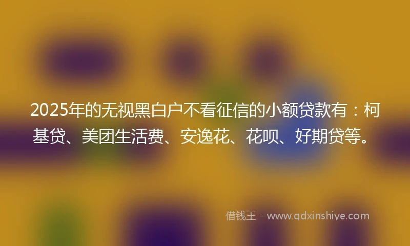 2025年的无视黑白户不看征信的小额贷款有：柯基贷、美团生活费、安逸花、花呗、好期贷等。