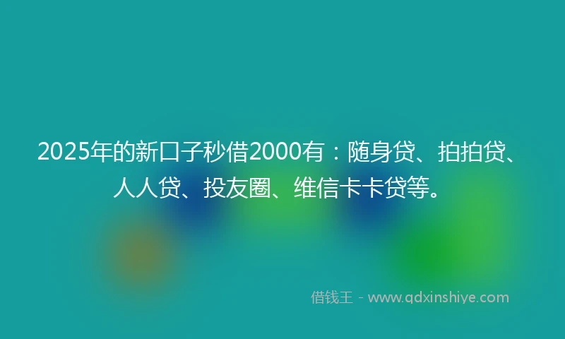 2025年的新口子秒借2000有：随身贷、拍拍贷、人人贷、投友圈、维信卡卡贷等。