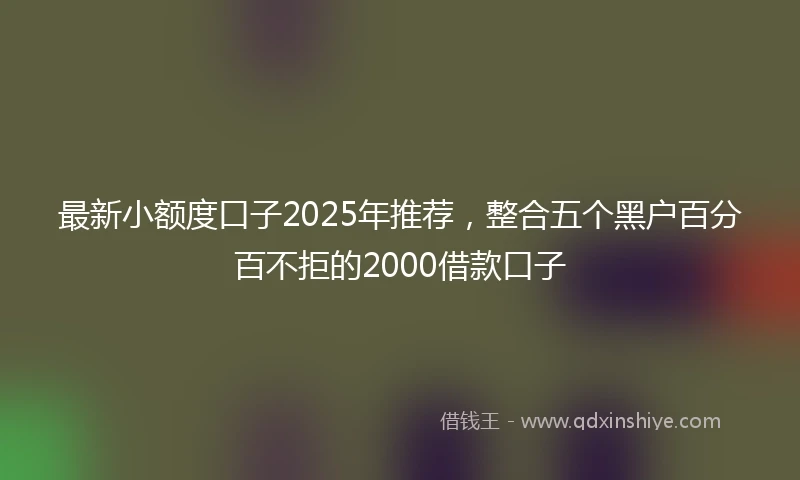 最新小额度口子2025年推荐，整合五个黑户百分百不拒的2000借款口子
