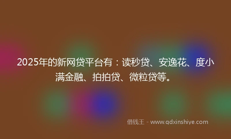 2025年的新网贷平台有：读秒贷、安逸花、度小满金融、拍拍贷、微粒贷等。