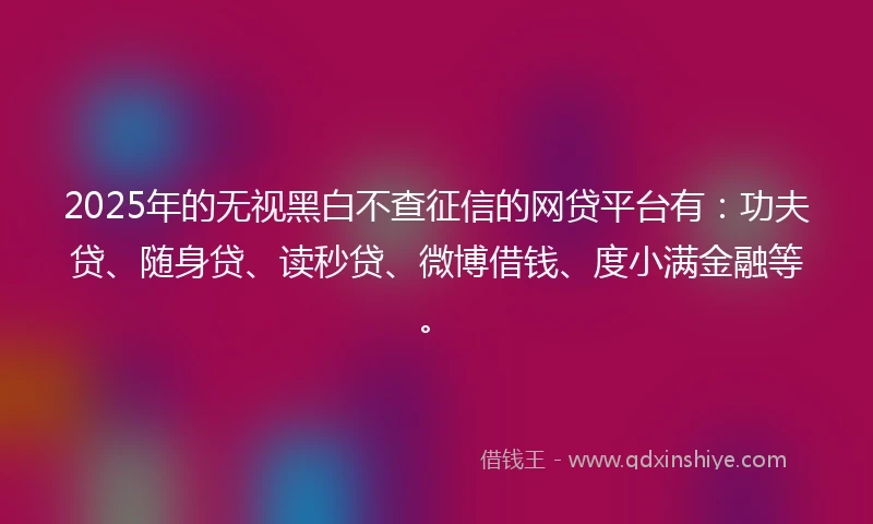 2025年的无视黑白不查征信的网贷平台有：功夫贷、随身贷、读秒贷、微博借钱、度小满金融等。