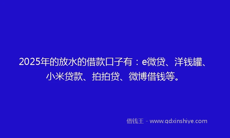 2025年的放水的借款口子有：e微贷、洋钱罐、小米贷款、拍拍贷、微博借钱等。