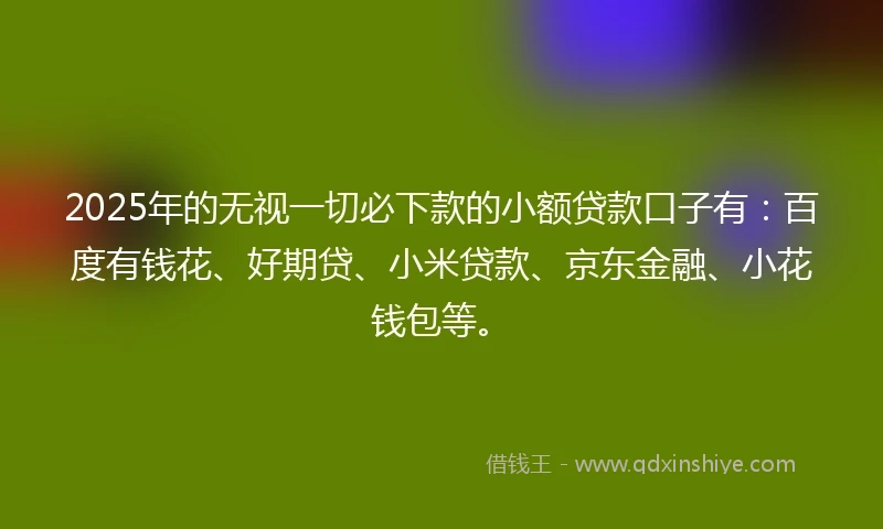 2025年的无视一切必下款的小额贷款口子有：百度有钱花、好期贷、小米贷款、京东金融、小花钱包等。