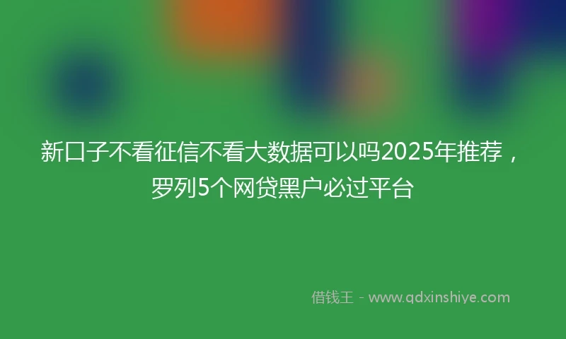 新口子不看征信不看大数据可以吗2025年推荐，罗列5个网贷黑户必过平台