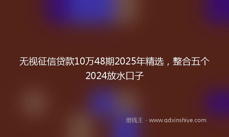 无视征信贷款10万48期2025年精选，整合五个2024放水口子