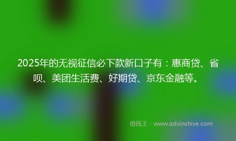 2025年的无视征信必下款新口子有：惠商贷、省呗、美团生活费、好期贷、京东金融等。