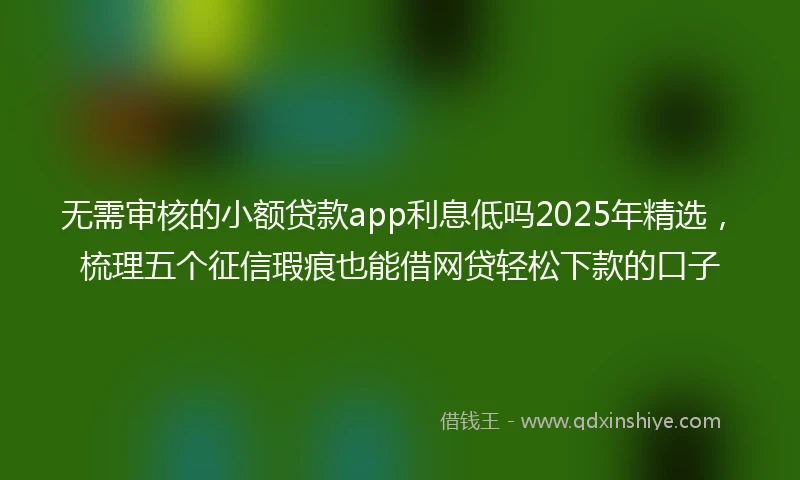 无需审核的小额贷款app利息低吗2025年精选，梳理五个征信瑕疵也能借网贷轻松下款的口子