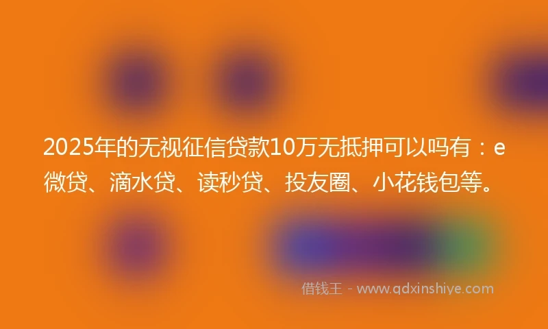2025年的无视征信贷款10万无抵押可以吗有：e微贷、滴水贷、读秒贷、投友圈、小花钱包等。