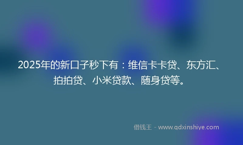 2025年的新口子秒下有：维信卡卡贷、东方汇、拍拍贷、小米贷款、随身贷等。