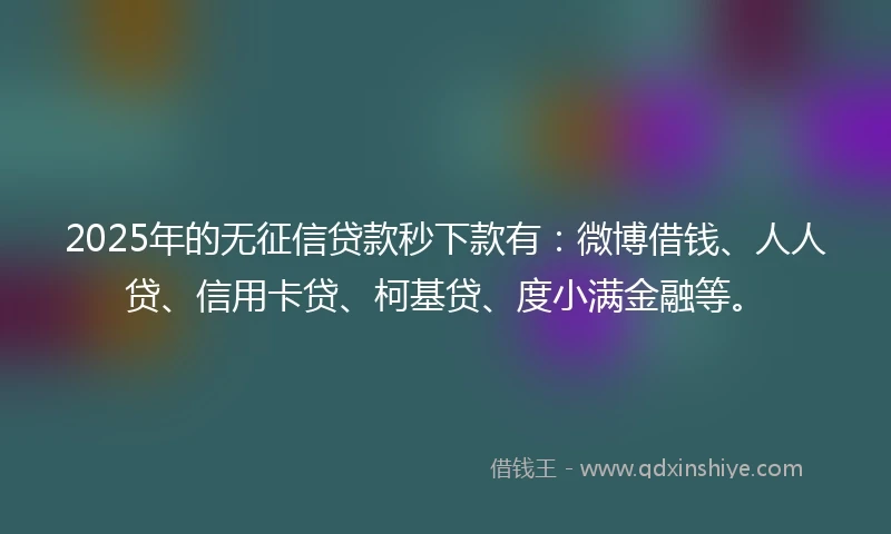 2025年的无征信贷款秒下款有：微博借钱、人人贷、信用卡贷、柯基贷、度小满金融等。
