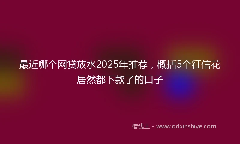 最近哪个网贷放水2025年推荐，概括5个征信花居然都下款了的口子