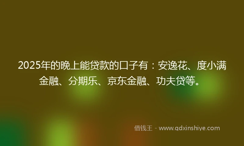2025年的晚上能贷款的口子有：安逸花、度小满金融、分期乐、京东金融、功夫贷等。