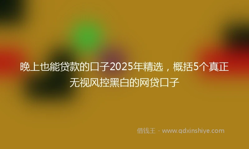 晚上也能贷款的口子2025年精选，概括5个真正无视风控黑白的网贷口子