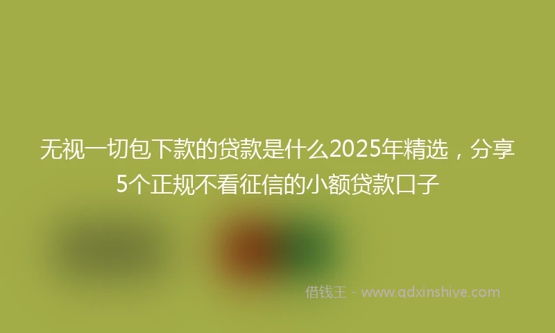 无视一切包下款的贷款是什么2025年精选，分享5个正规不看征信的小额贷款口子