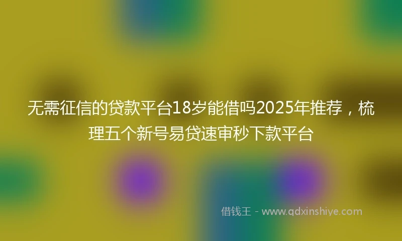无需征信的贷款平台18岁能借吗2025年推荐，梳理五个新号易贷速审秒下款平台