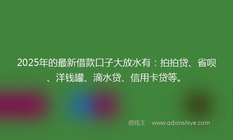 2025年的最新借款口子大放水有：拍拍贷、省呗、洋钱罐、滴水贷、信用卡贷等。