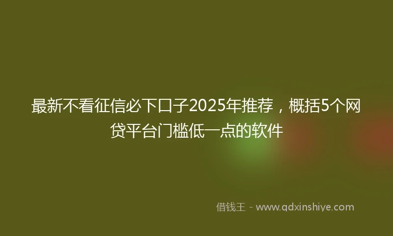 最新不看征信必下口子2025年推荐，概括5个网贷平台门槛低一点的软件