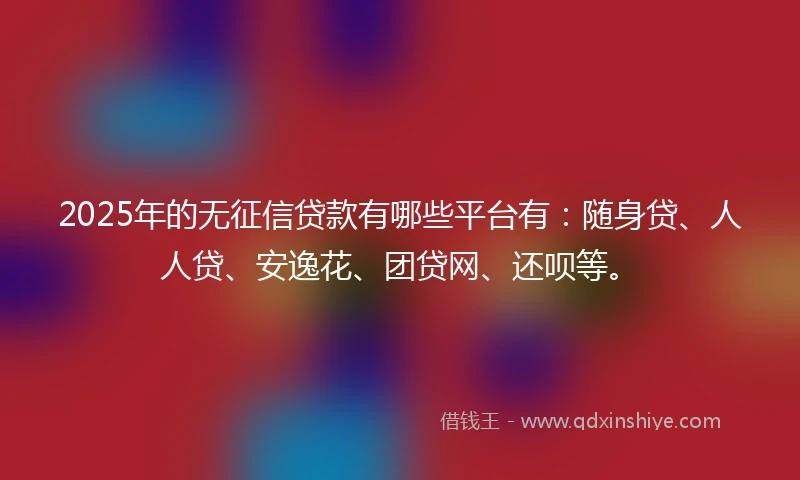 2025年的无征信贷款有哪些平台有：随身贷、人人贷、安逸花、团贷网、还呗等。