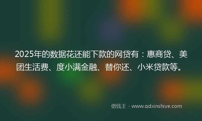 2025年的数据花还能下款的网贷有：惠商贷、美团生活费、度小满金融、替你还、小米贷款等。