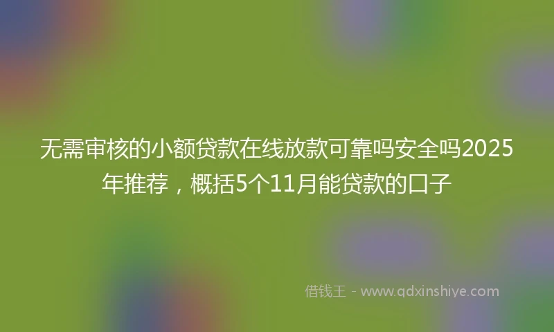 无需审核的小额贷款在线放款可靠吗安全吗2025年推荐，概括5个11月能贷款的口子