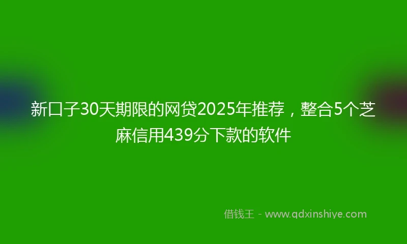 新口子30天期限的网贷2025年推荐，整合5个芝麻信用439分下款的软件
