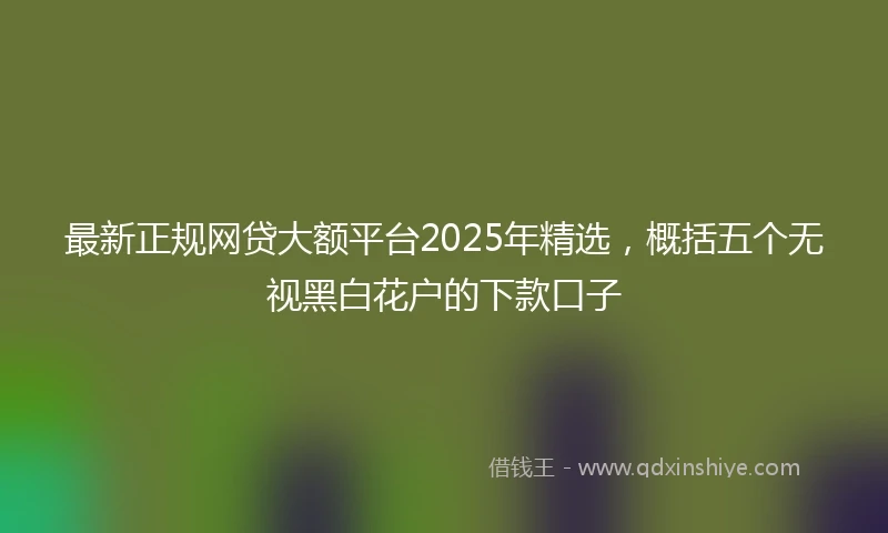 最新正规网贷大额平台2025年精选，概括五个无视黑白花户的下款口子