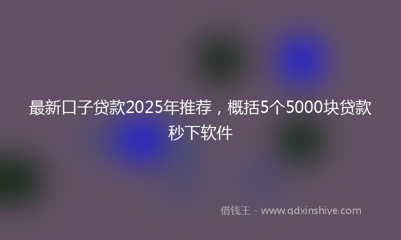 最新口子贷款2025年推荐，概括5个5000块贷款秒下软件