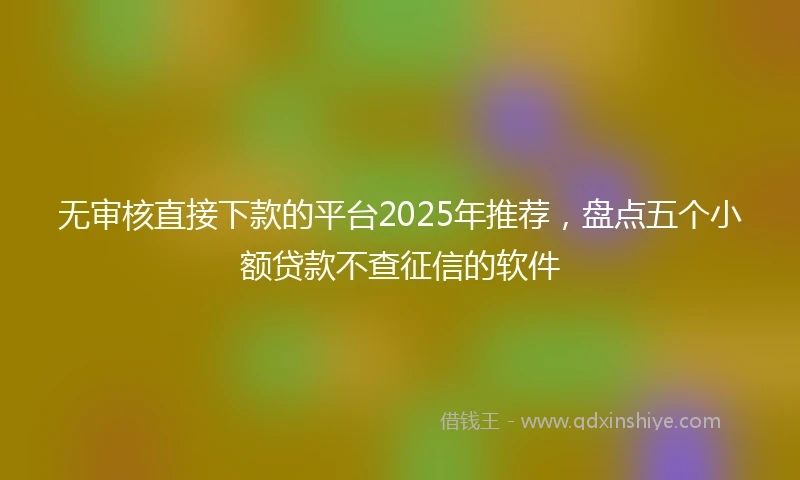 无审核直接下款的平台2025年推荐，盘点五个小额贷款不查征信的软件
