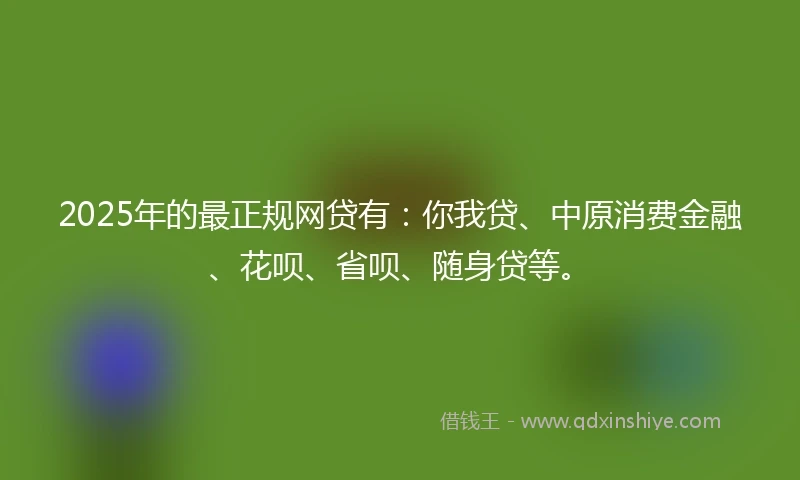 2025年的最正规网贷有:你我贷、中原消费金融、花呗、省呗、随身贷等。