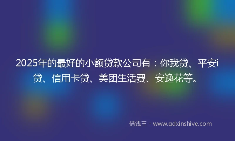 2025年的最好的小额贷款公司有:你我贷、平安i贷、信用卡贷、美团生活费、安逸花等。