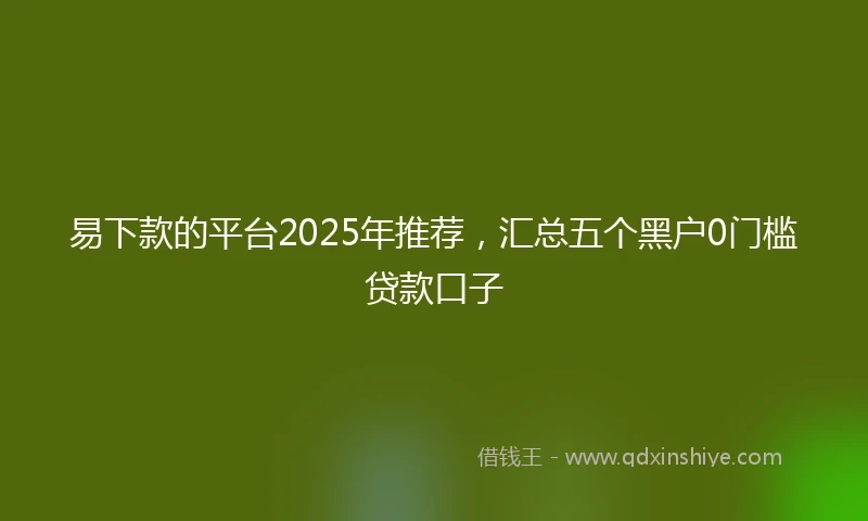 易下款的平台2025年推荐，汇总五个黑户0门槛贷款口子