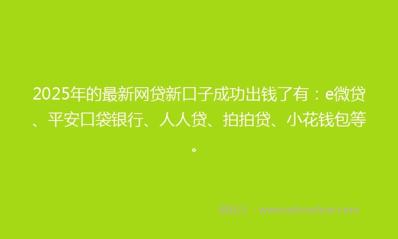 2025年的最新网贷新口子成功出钱了有：e微贷、平安口袋银行、人人贷、拍拍贷、小花钱包等。