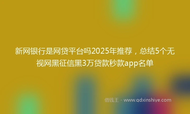 新网银行是网贷平台吗2025年推荐，总结5个无视网黑征信黑3万贷款秒款app名单