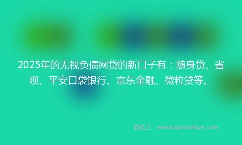 2025年的无视负债网贷的新口子有：随身贷、省呗、平安口袋银行、京东金融、微粒贷等。