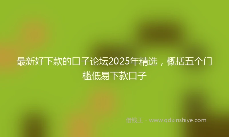 最新好下款的口子论坛2025年精选，概括五个门槛低易下款口子