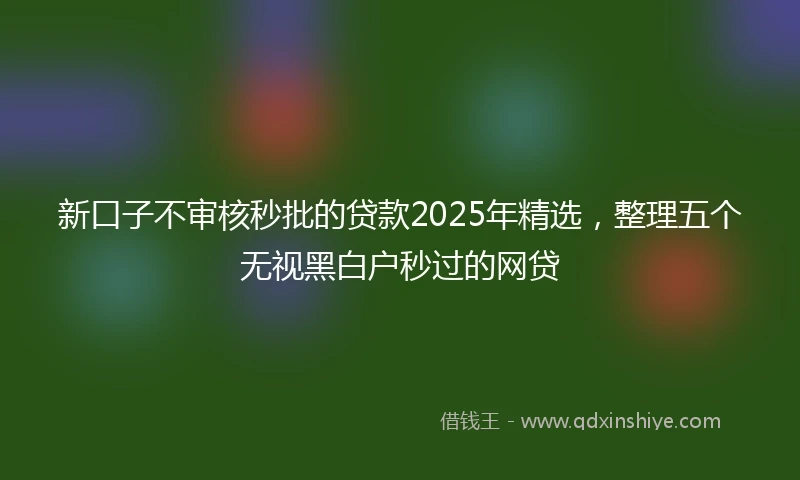 新口子不审核秒批的贷款2025年精选，整理五个无视黑白户秒过的网贷