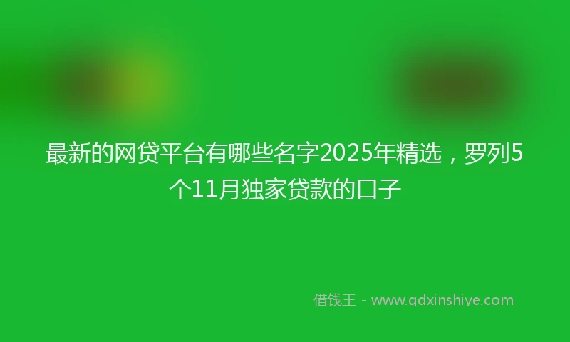 最新的网贷平台有哪些名字2025年精选，罗列5个11月独家贷款的口子