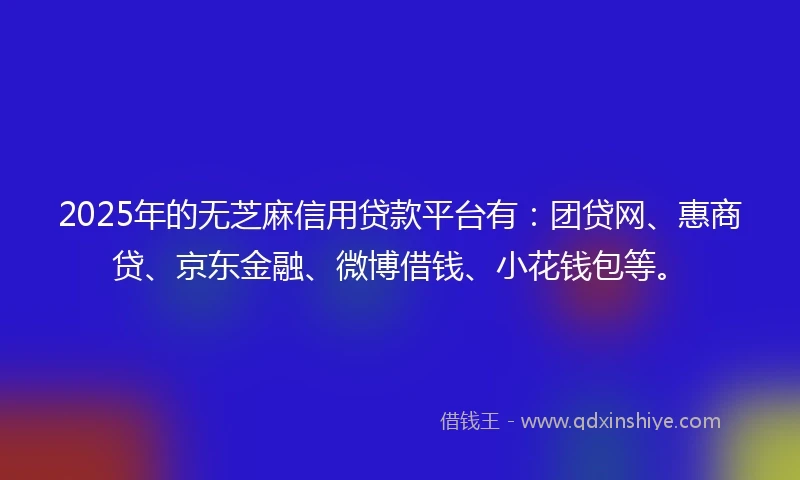 2025年的无芝麻信用贷款平台有：团贷网、惠商贷、京东金融、微博借钱、小花钱包等。