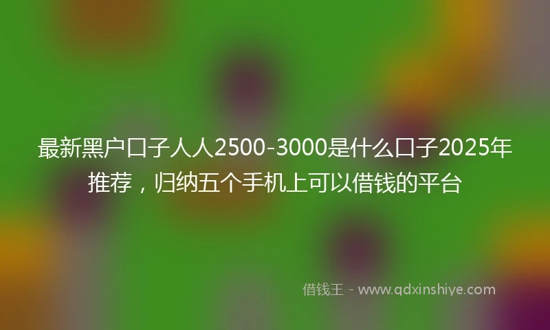 最新黑户口子人人2500-3000是什么口子2025年推荐，归纳五个手机上可以借钱的平台