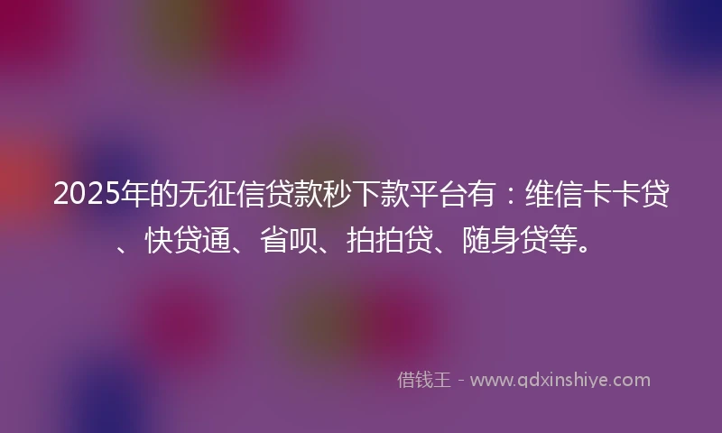 2025年的无征信贷款秒下款平台有：维信卡卡贷、快贷通、省呗、拍拍贷、随身贷等。