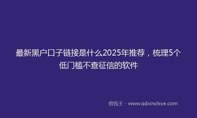 最新黑户口子链接是什么2025年推荐，梳理5个低门槛不查征信的软件