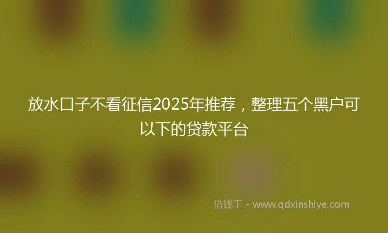 放水口子不看征信2025年推荐，整理五个黑户可以下的贷款平台